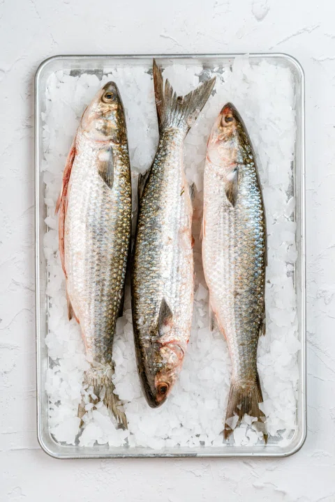 Bandeja con pescados enteros sobre hielo.