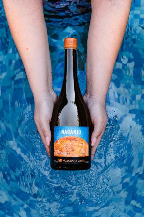 Botella de licor sostenida entre las manos sobre fondo azul.