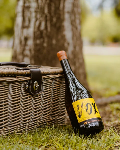 Botella de vino junto a canasto de picnic en exterior.