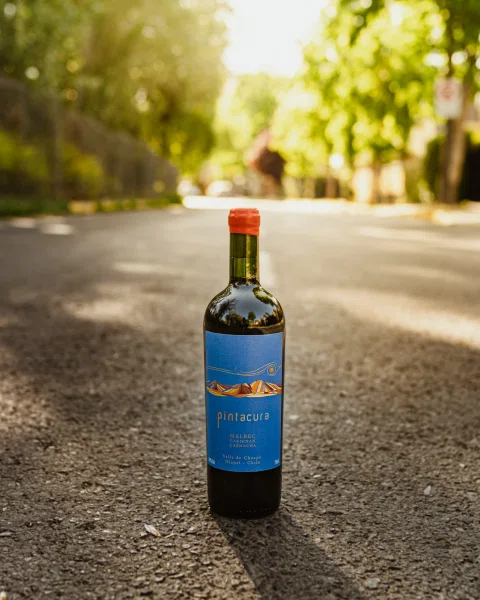 Botella de vino con etiqueta azul sobre camino rural.