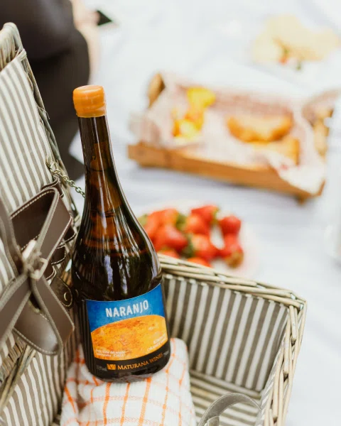 Botella de vino con etiqueta azul sobre mesa de picnic.