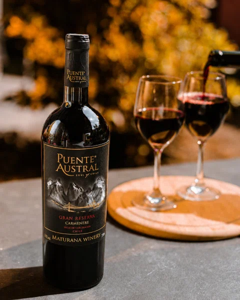 Botella de vino tinto con copa en ambiente exterior cálido.