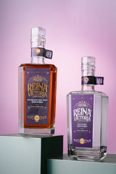 Dos botellas de licor presentadas en una composición de colores.