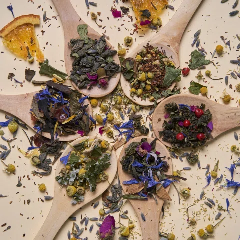 Composición de hierbas flores y cítricos secos.