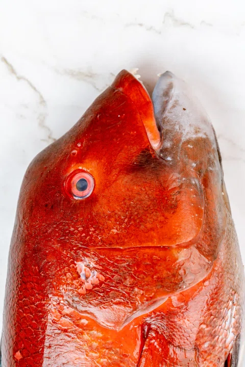Detalle de cabeza de pescado rojo.