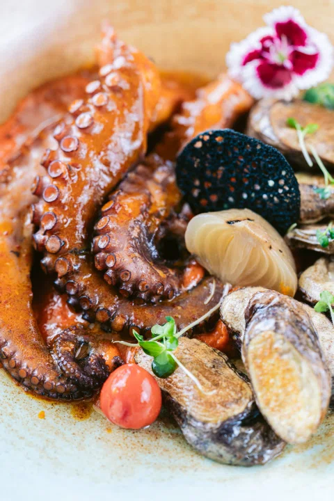 Detalle de pulpo y vegetales en plato.