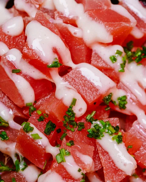 Detalle de salmón con salsa y cebollín.
