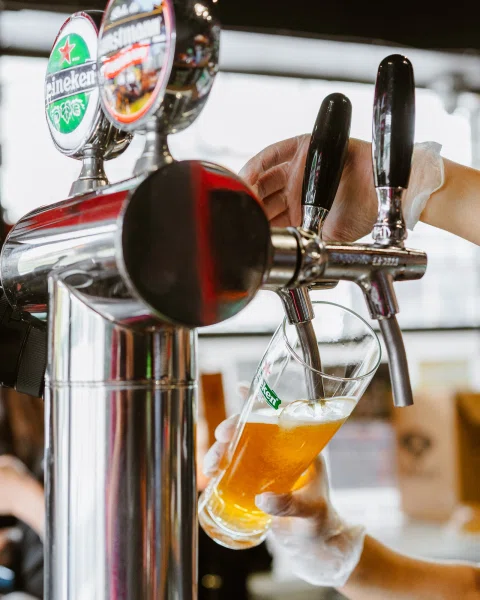 Dispensadores de cerveza y copa en barra.