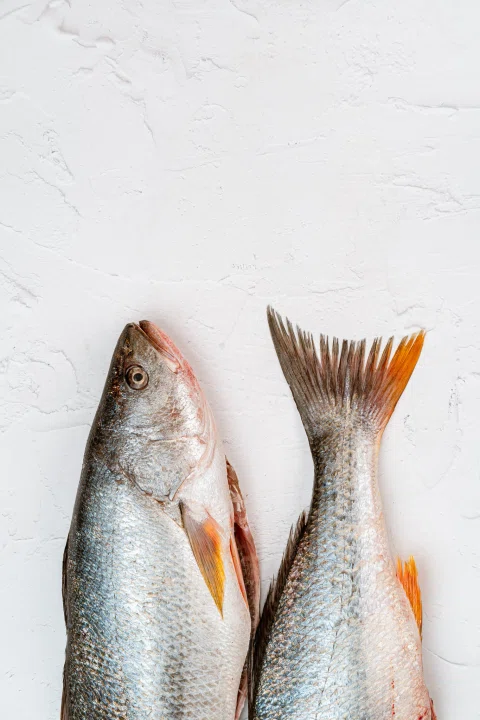 Dos pescados plateados enfrentados por las colas.
