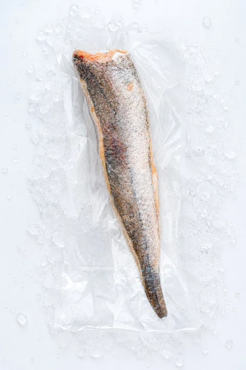 Filete de pescado blanco con piel sobre hielo.