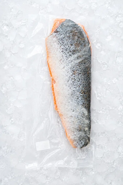 Filete de salmón con piel sobre hielo.