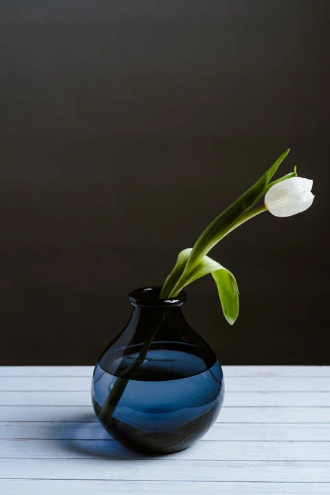Florero azul con tulipán blanco presentado sobre una mesa.
