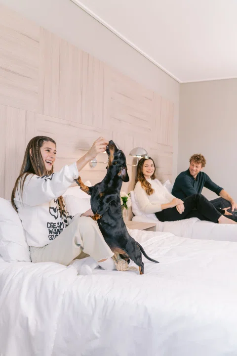 Grupo de huéspedes con perro sobre cama.
