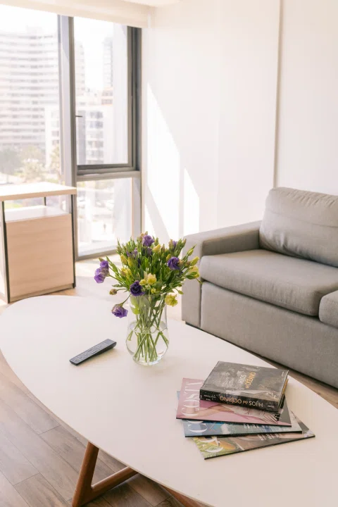 Living de habitación con sofá y mesa de centro.