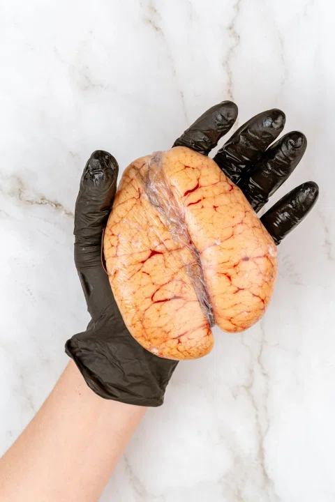 Mano con guante sosteniendo dos cortes de pescado.