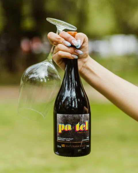 Mano sosteniendo botella de vino de etiqueta amarilla.