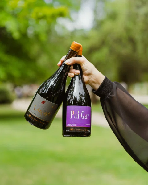 Mano sosteniendo dos botellas de vino en parque.