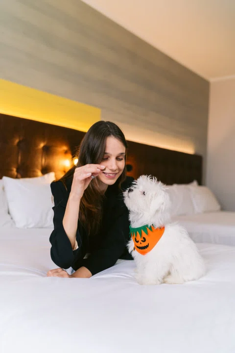 Mujer abrazando perro pequeño en cama de hotel.