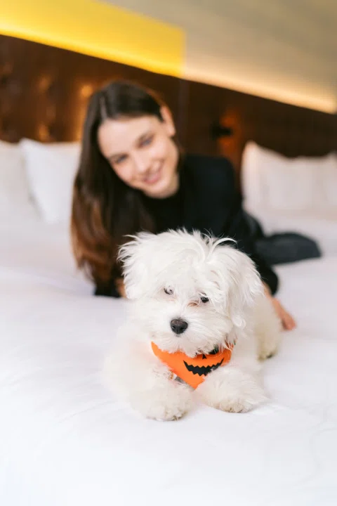 Mujer junto a perro pequeño sobre cama.