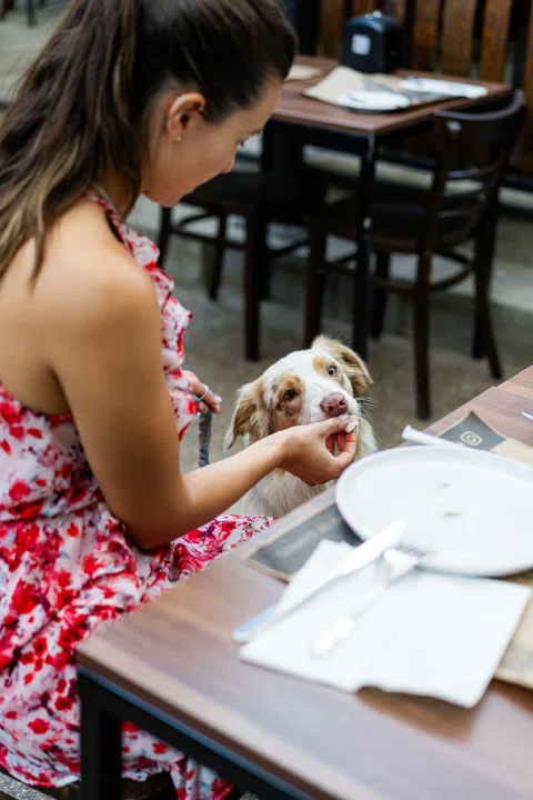 Mujer sentada con perro pequeño en terraza.