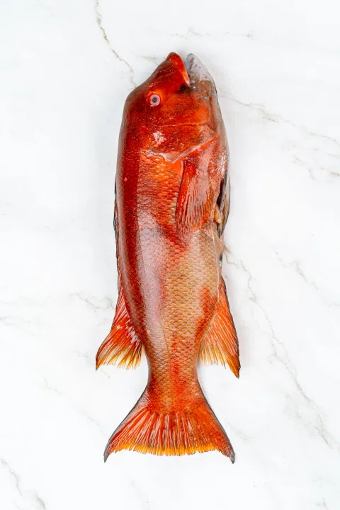 Pescado rojo entero sobre fondo blanco.