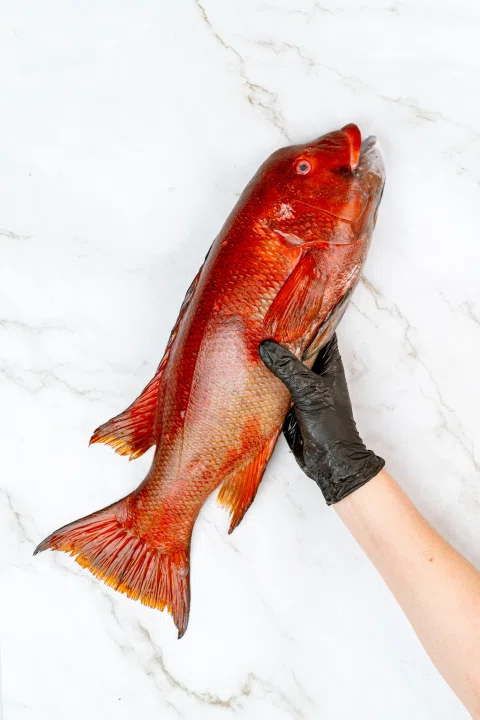 Pescado rojo entero presentado sobre una superficie de mármol.