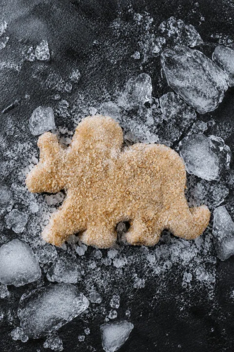 Pieza empanizada con forma marina sobre hielo.
