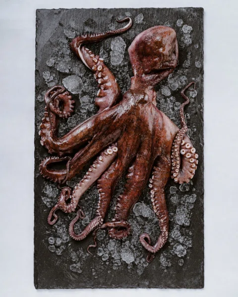 Pulpo entero sobre hielo y pizarra negra.