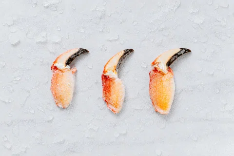 Tres pinzas de cangrejo sobre hielo.